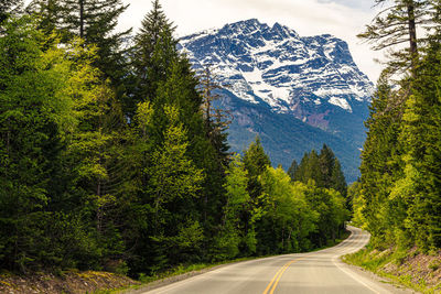 Road amidst trees and mountains during winter