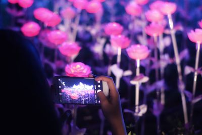 Close-up of woman photographing illuminated flowers at night