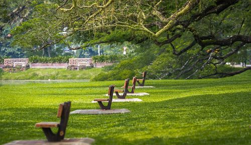 Empty park benches in row