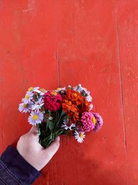 Cropped hand of woman holding flowers