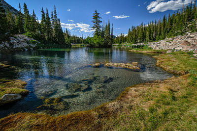 Scenic view of waterfall in forest against sky