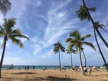 Palm trees on beach against sky