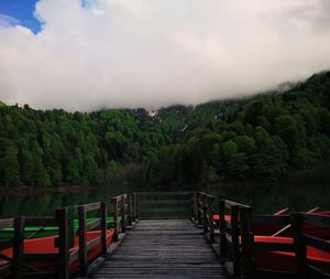Wooden bridge in forest against sky