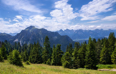 Panoramic view of trees and mountains against sky