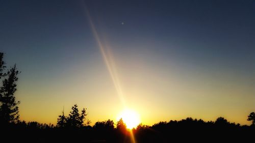 Silhouette trees against clear sky during sunset