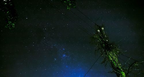 Low angle view of stars in sky at night