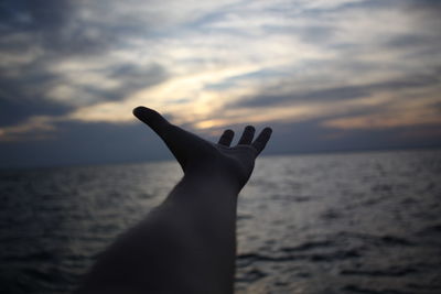 Close-up of hand against sea at sunset