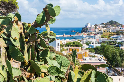 Panoramic view of city by sea against sky