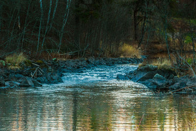 Water flowing by trees against sky