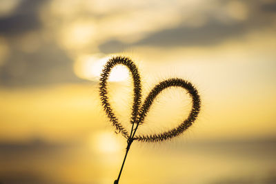 Close-up of heart shape against sky during sunset