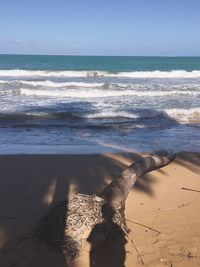 Shadow of person on beach against sky