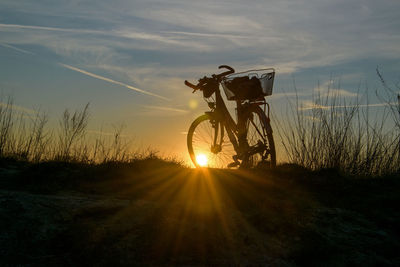 Rear view of man riding bicycle against sky during sunset