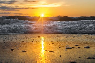 Scenic view of sea at sunset