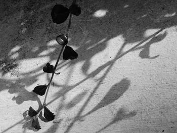 High angle view of shadow falling on wall