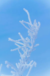 Low angle view of vapor trail against blue sky