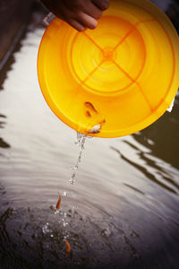 Close-up of a person holding yellow water