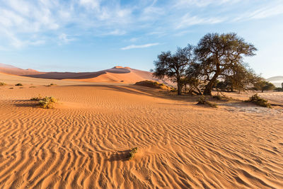 Scenic view of desert against sky