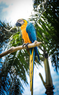 Bird perching on a branch