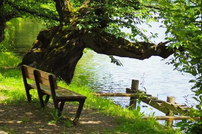 Chair and table by lake