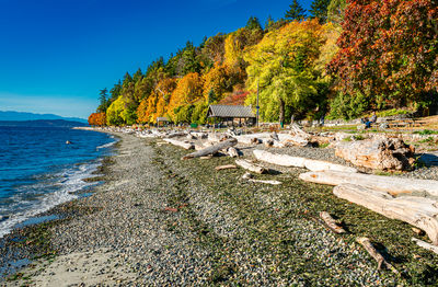 Scenic view of sea against clear blue sky
