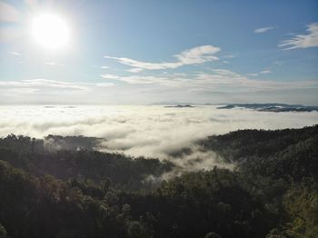 Awan karpet/nano at bukit senaling, kuala pilah