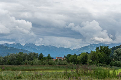 Scenic view of field against sky