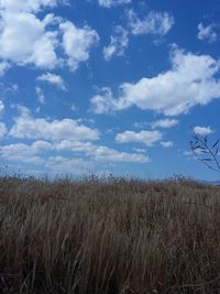 Scenic view of field against cloudy sky