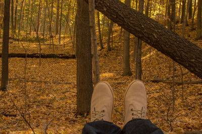 Low section of man standing in forest