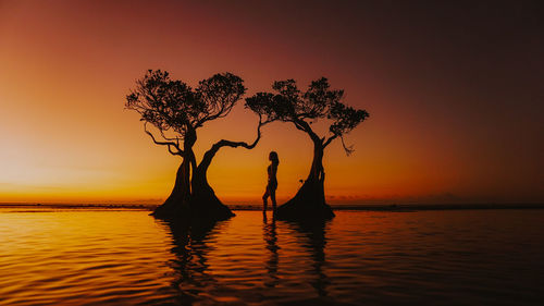 Silhouette tree by sea against sky during sunset