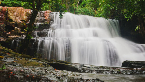 Scenic view of waterfall in forest