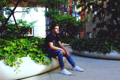Full length of thoughtful young man looking away while sitting by plants in city