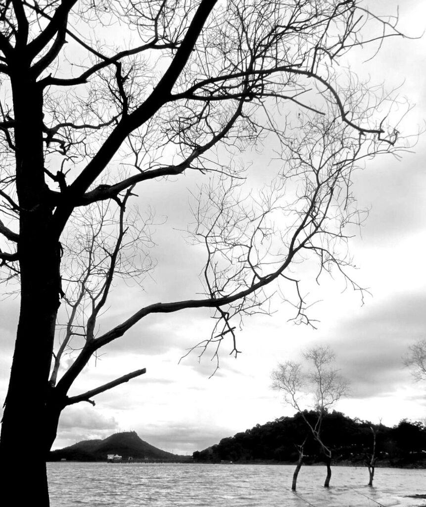 bare tree, tree, branch, tranquility, tranquil scene, water, sky, scenics, beauty in nature, silhouette, nature, lake, sea, idyllic, tree trunk, cloud - sky, non-urban scene, outdoors, waterfront, no people