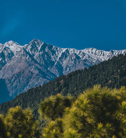 Scenic view of snowcapped mountains against clear blue sky