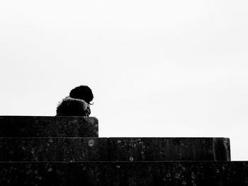 Rear view of woman sitting against wall