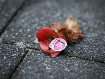 Close-up of heart shape on road