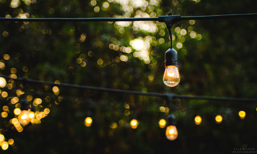 Close-up of illuminated light bulb hanging from tree