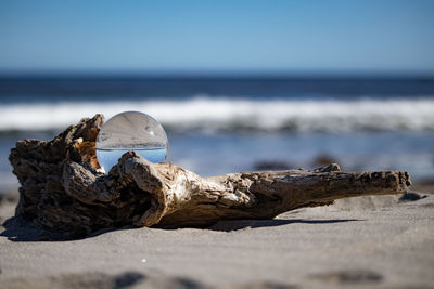 Driftwood on beach