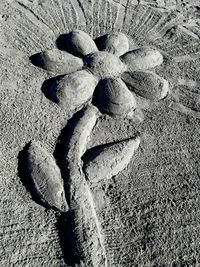 High angle view of shadow on rock