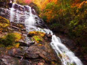 Scenic view of waterfall in forest