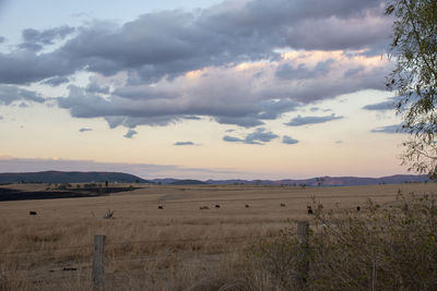Scenic view of field against sky during sunset