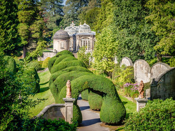 Plants in garden against trees in park