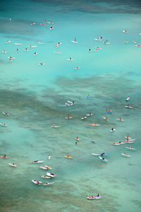 High angle view of surfers catching waves in the turquoise waters of waikiki beach on oahu, hawaii.