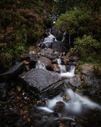 Stream flowing through rocks in forest