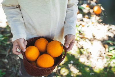 Wicker basket with ripe oranges in children's hands.