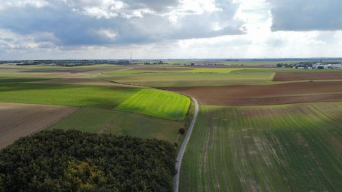 Scenic view of agricultural field against sky