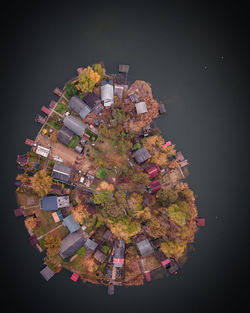 High angle view of trees by lake against buildings