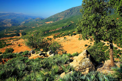 High angle view of landscape