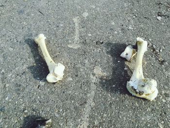 Close-up high angle view of objects