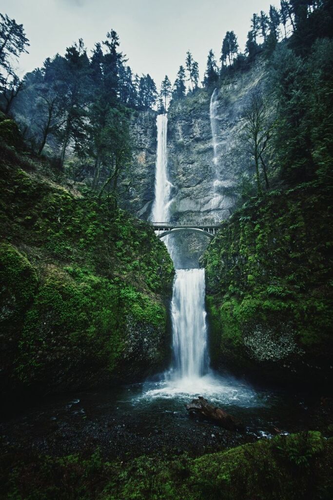 waterfall, motion, flowing water, water, long exposure, beauty in nature, scenics, flowing, tree, forest, nature, rock - object, blurred motion, environment, idyllic, growth, splashing, tranquil scene, rock formation, power in nature