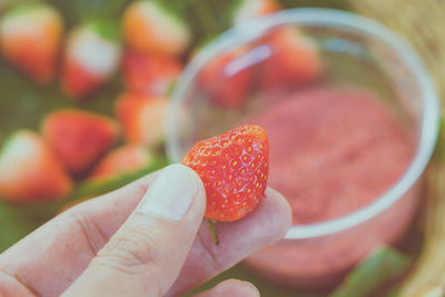 Close-up of hand holding strawberry